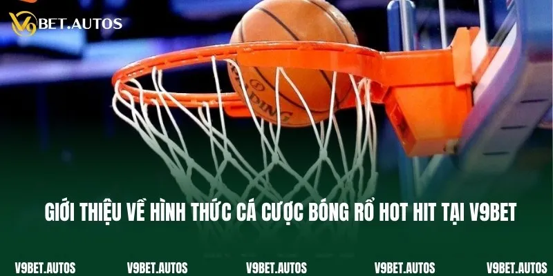 Giới thiệu về hình thức cá cược bóng rổ hot hit tại V9bet