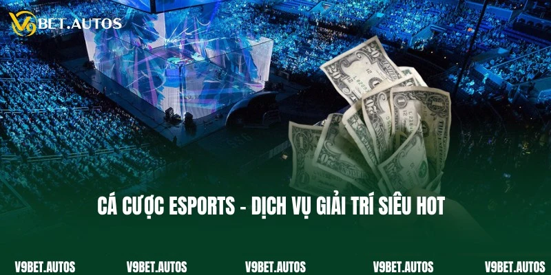 Cập nhật thông tin thú vị về dịch vụ cá cược Esports hấp dẫn