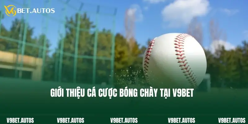 Giới thiệu cá cược bóng chày tại V9bet