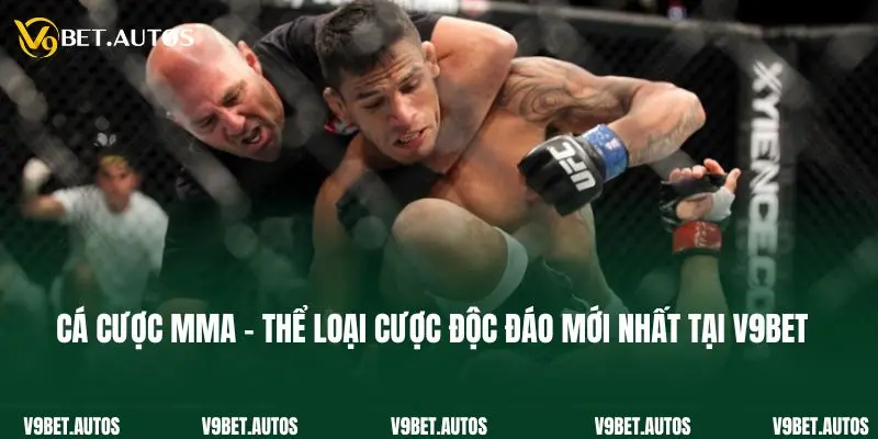 Cá Cược Mma - Thể Loại Cược Độc Đáo Mới Nhất Tại V9bet