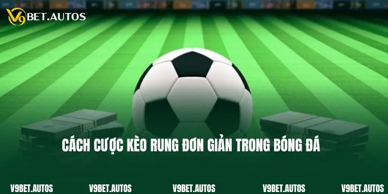 Cách cược kèo rung đơn giản trong bóng đá
